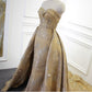 Robe ELISA